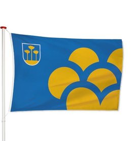 Vlag Zoetermeer