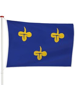 Vlag Zoeterwoude
