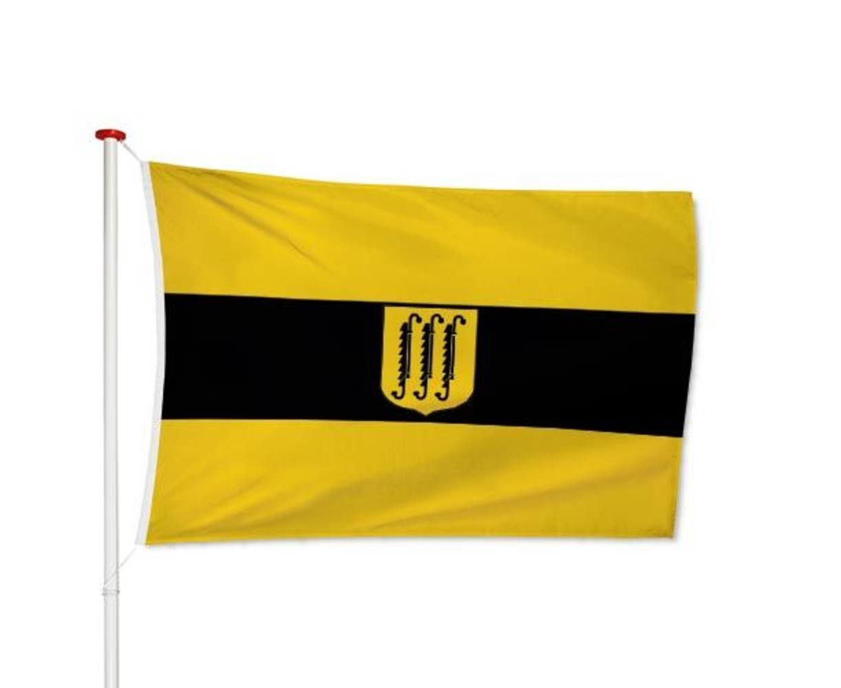 Vlag Zwijndrecht