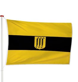 Vlag Zwijndrecht