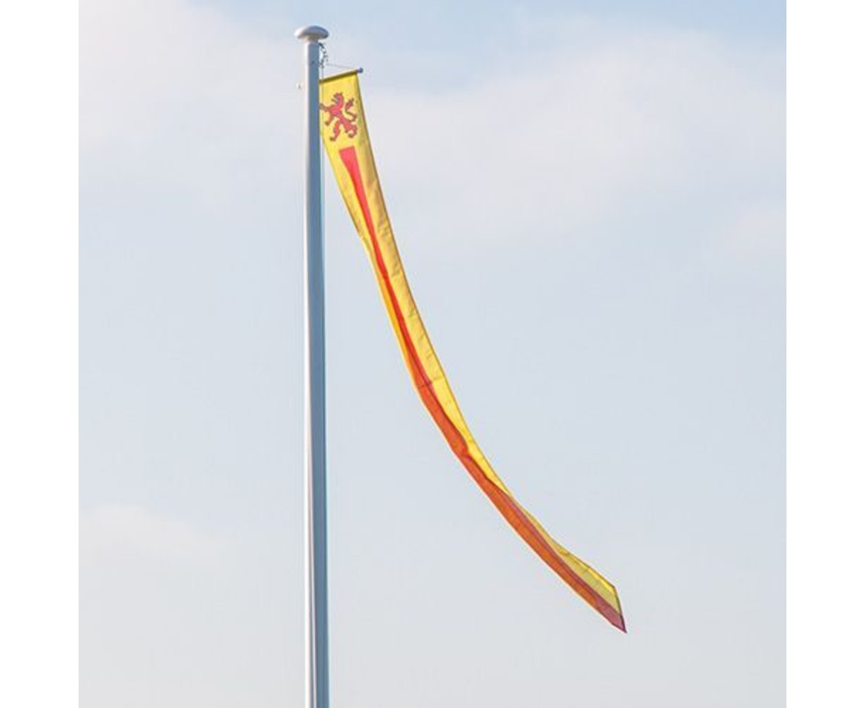 Wimpel Zuid-Holland 300cm