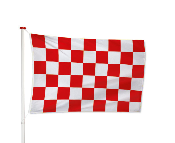 Vlag Leek kopen? Meerdere maten - Vlaggen Unie