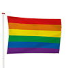 Regenboog Vlag Lgbt Vlag Vlaggen Unie