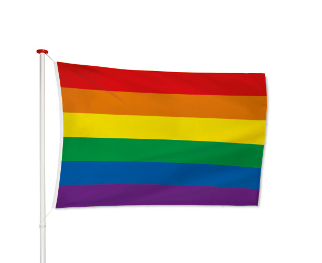 Regenboog vlag / LGBT vlag