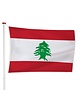 Libanese Vlag