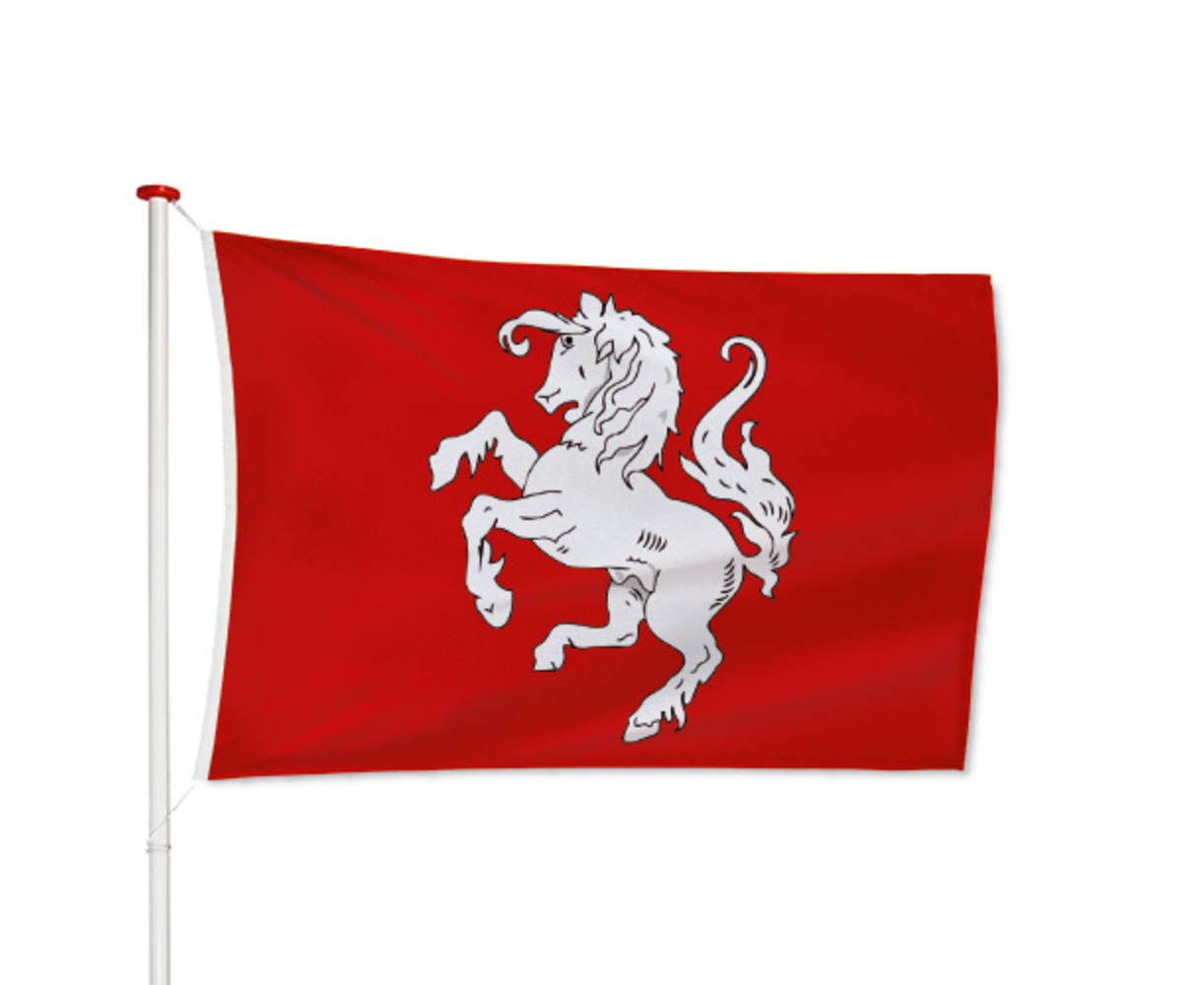 Twentse Ross Vlag