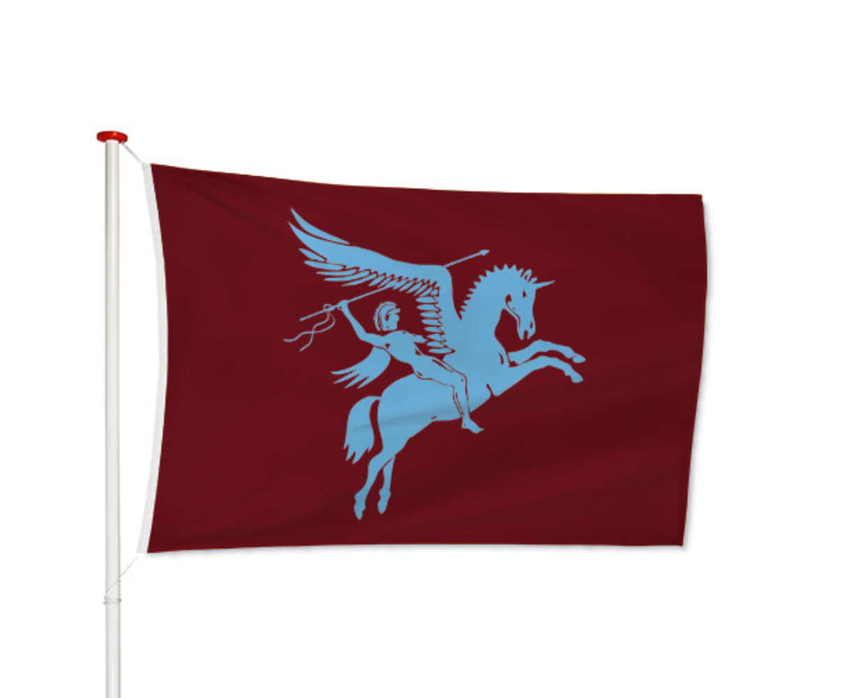 Airborne Vlag