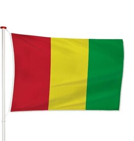 Vlag Guinee