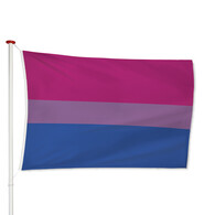 Vlag Bi-Sexual