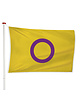 Vlag Intersekse