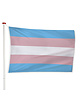 Vlag Transgender