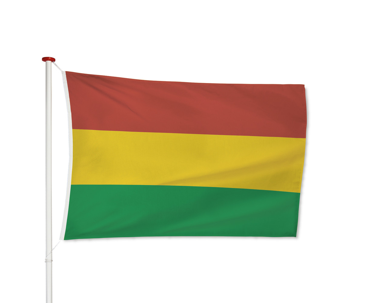 Carnavals vlag