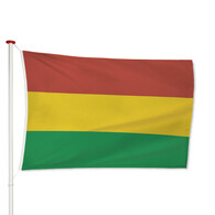 Vlag Carnaval Vlag Carnaval