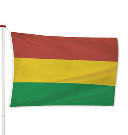 Vlag Carnaval Vlag Carnaval