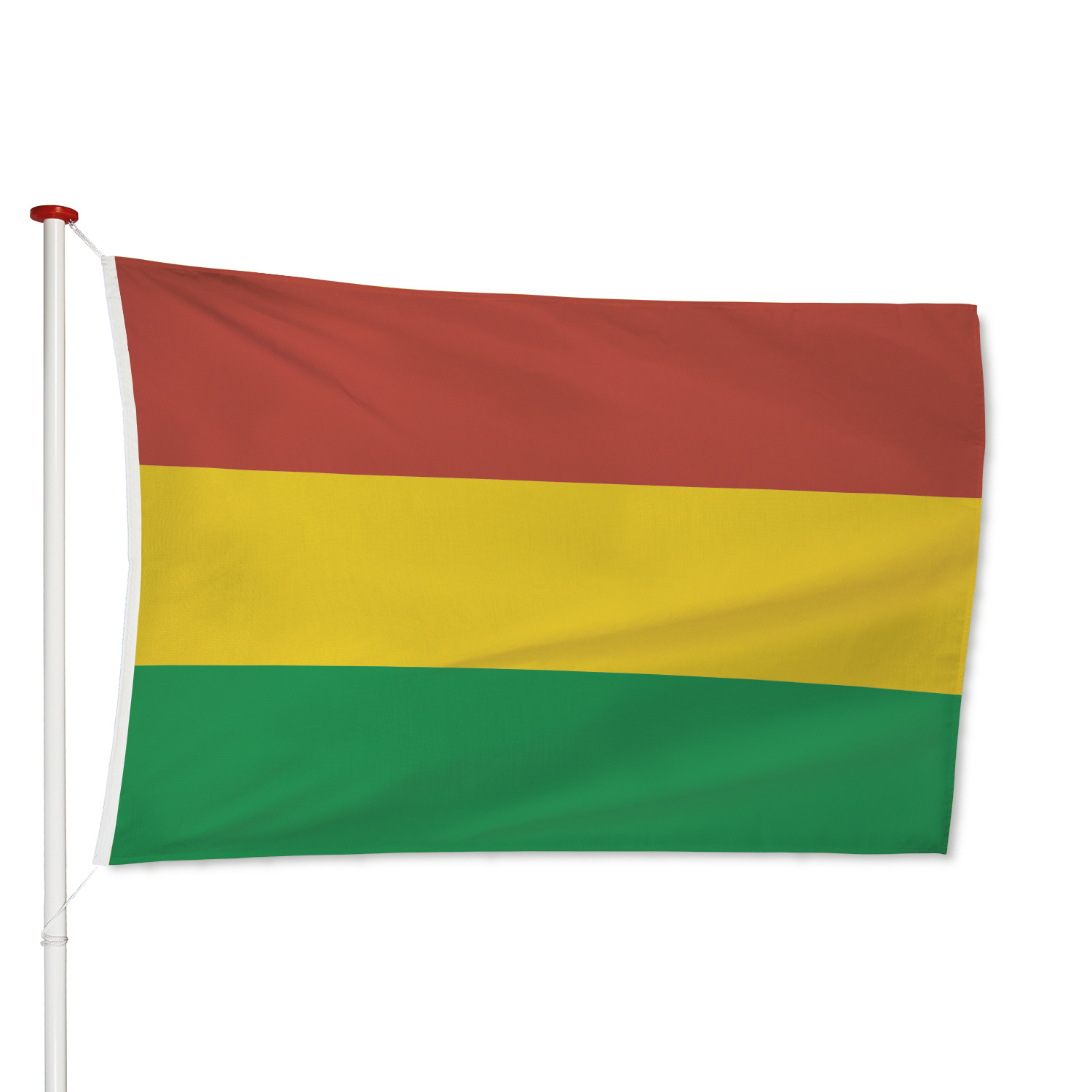 Carnavals vlag