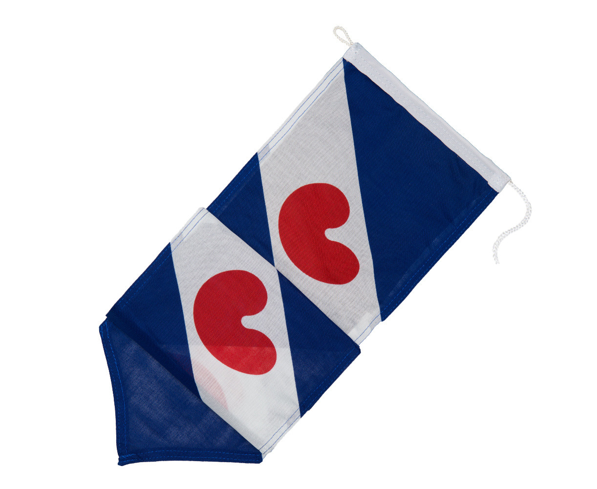 Friese Wimpel