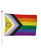 Intersekse progress vlag
