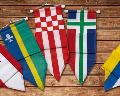 Het ontstaan van provincie wimpels