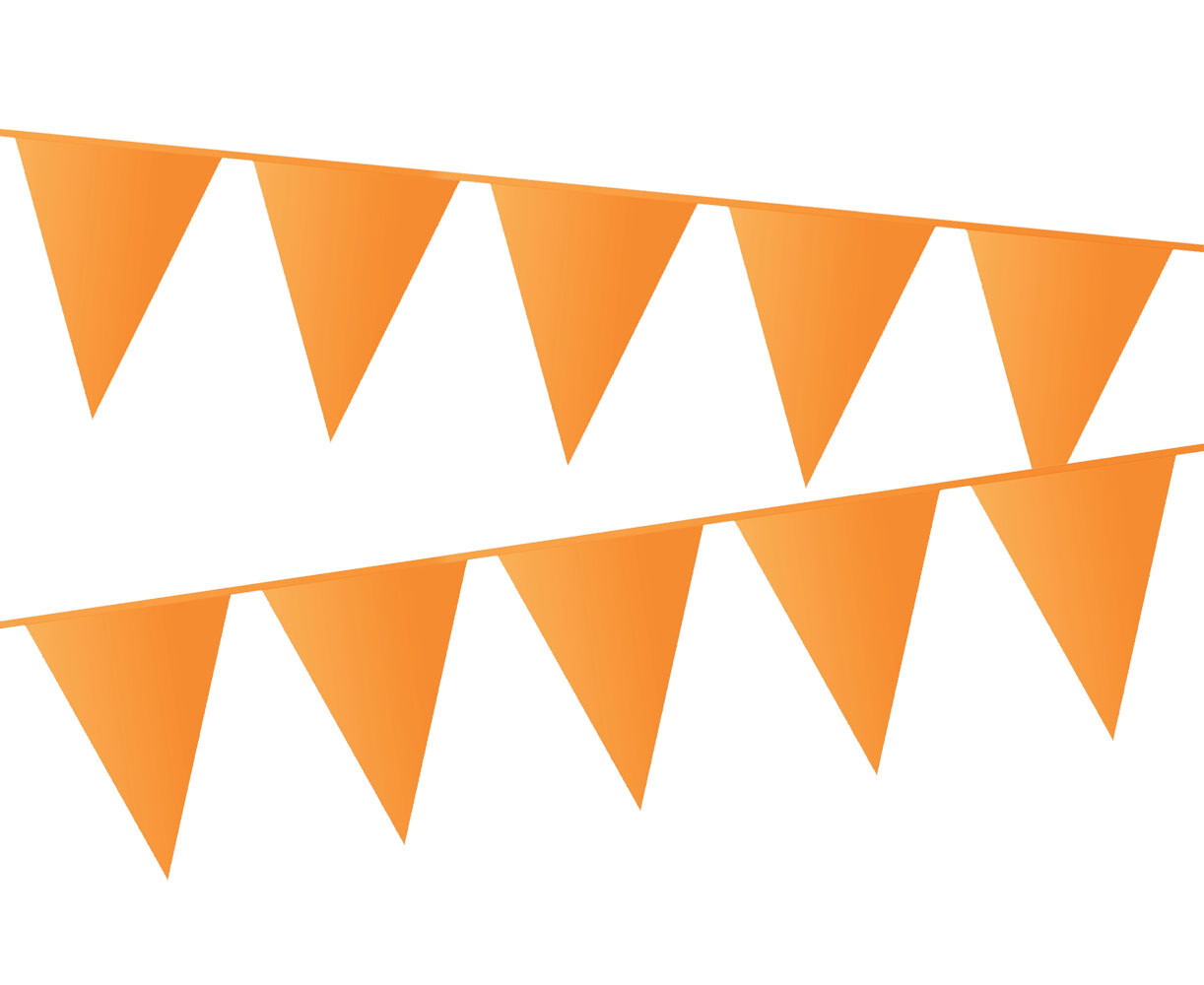 Vlaggenlijn / Slinger Oranje 20x30cm