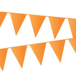 Vlaggenlijn / Slinger Oranje 20x30cm
