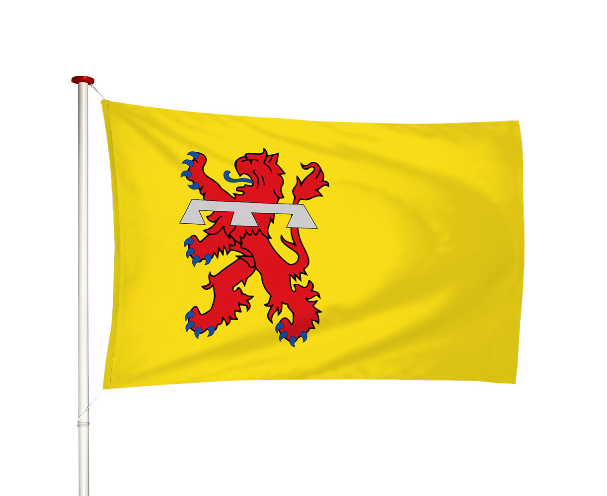 Vlag Teylingen