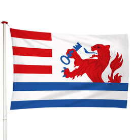 Vlag Terneuzen