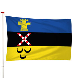 Vlag Meierijstad