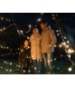 Polyester vlaggenmast 8 meter + kerstverlichting