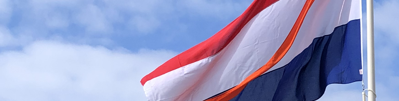 Standaard uit voorraad leverbaar!