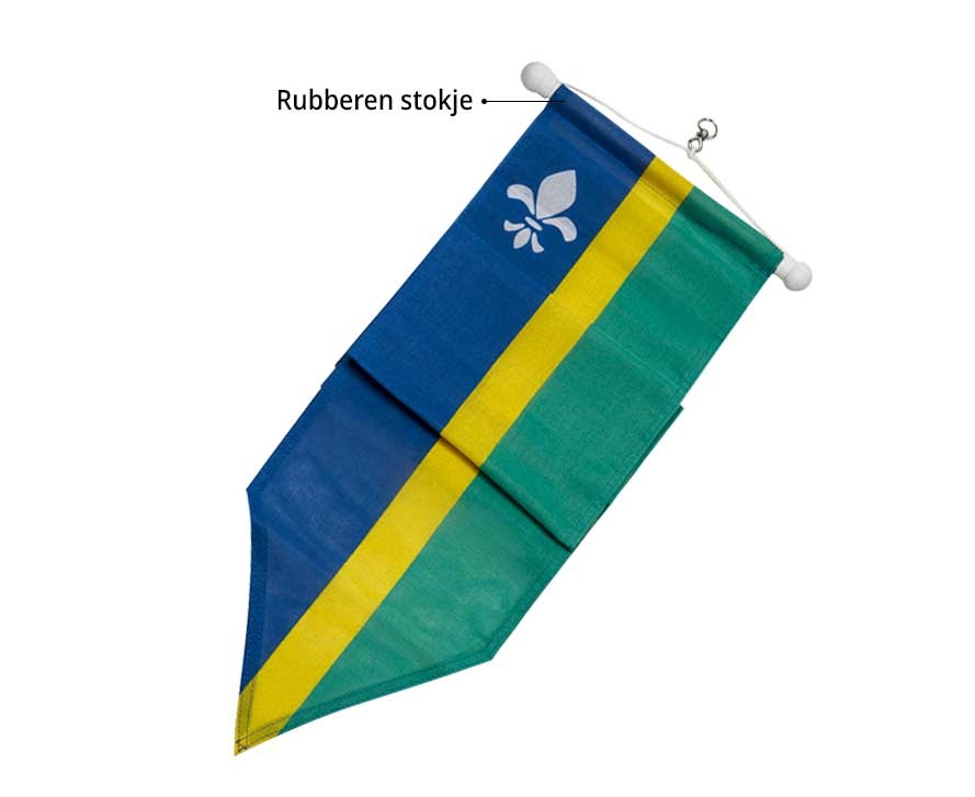 Wimpel Flevoland 300cm