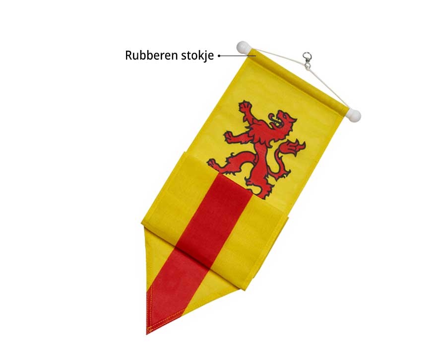 Wimpel Zuid-Holland 300cm