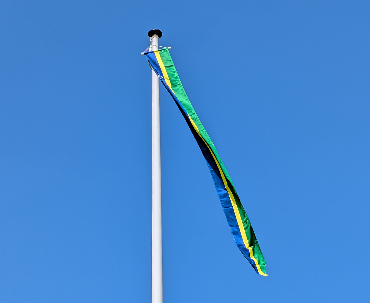 Wimpel Flevoland 300cm