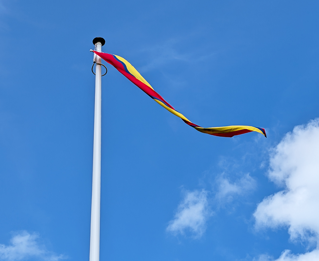 Wimpel Overijssel 300cm Wimpel Overijssel 300cm