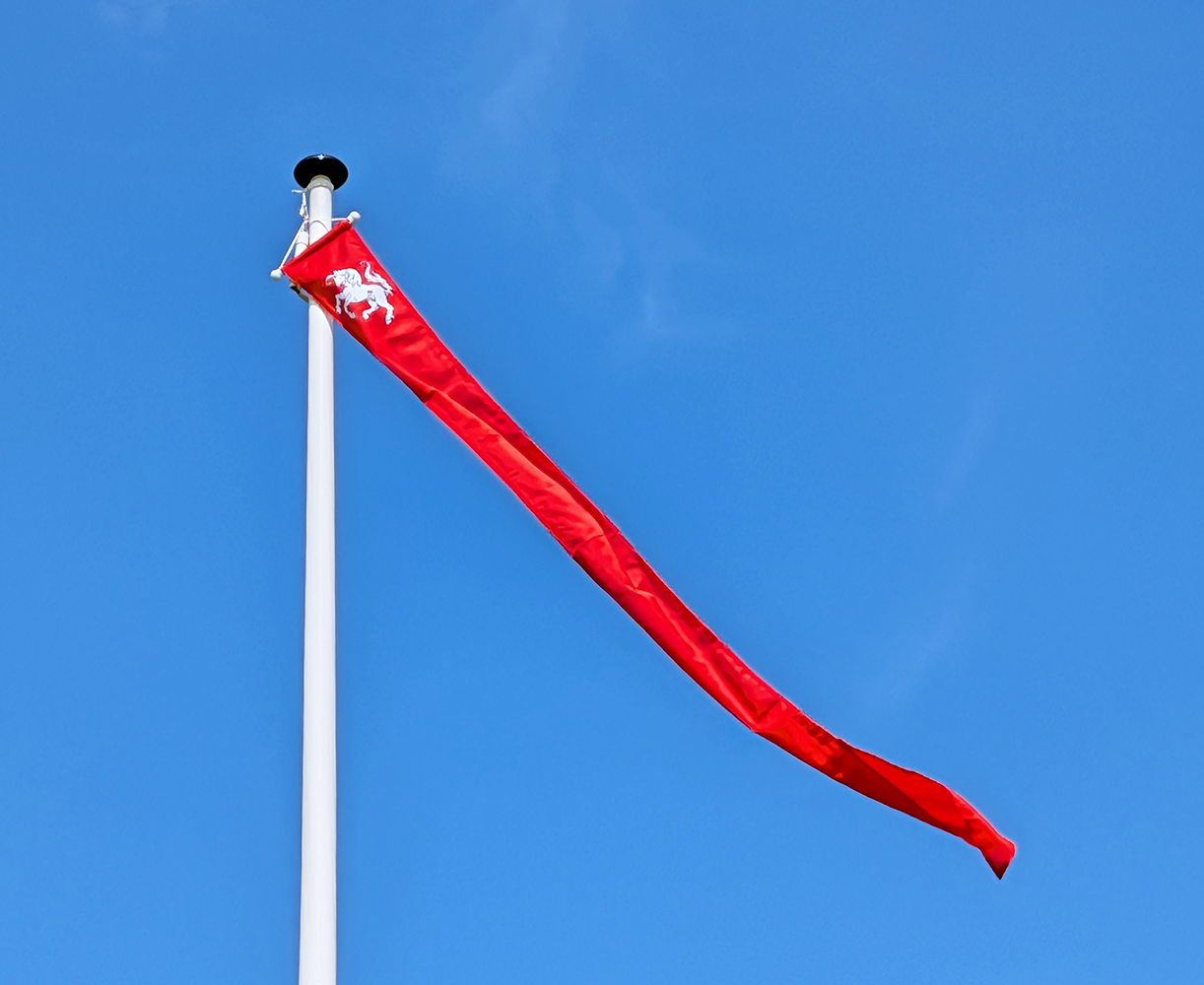 Wimpel Twente 25x300cm Wimpel Twente 25x300cm