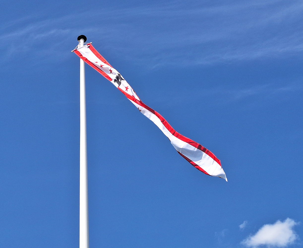 Drentse Wimpel Drentse Wimpel