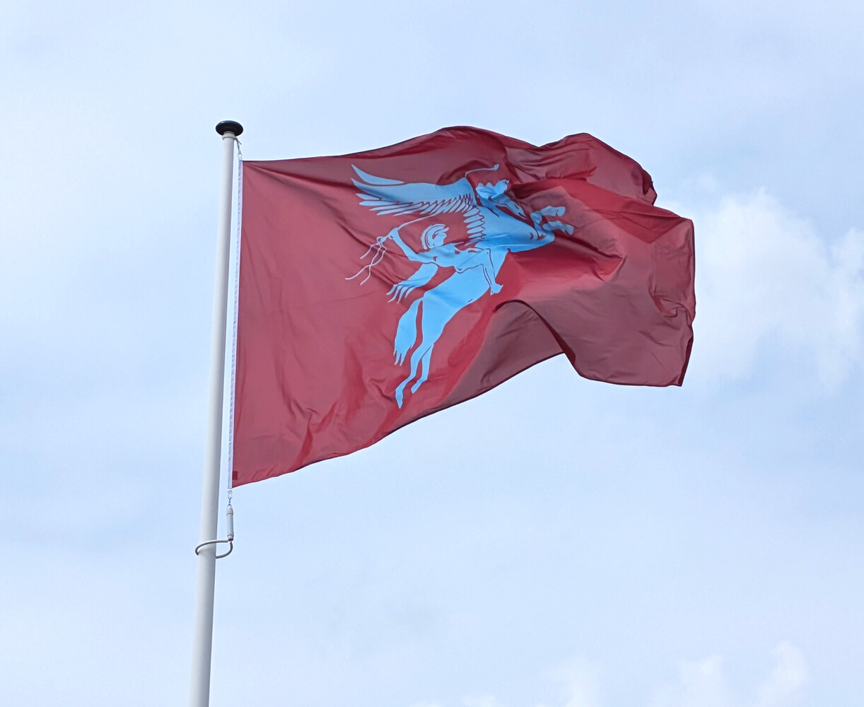 Airborne Vlag Airborne Vlag