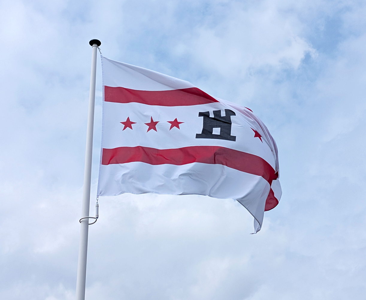 Vlag Drenthe