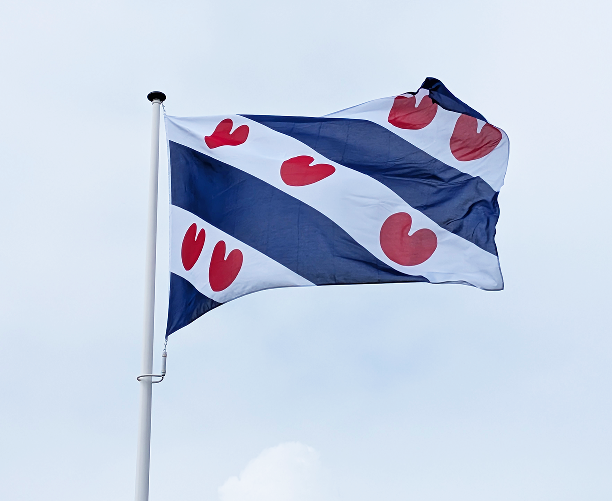 Vlag Friesland