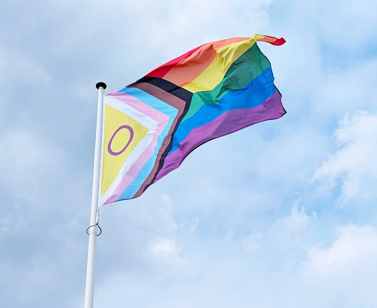 Intersekse progress vlag