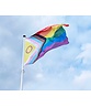 Intersekse progress vlag