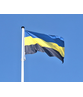 Gelderse vlag