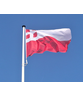 Vlag Utrecht Vlag Utrecht
