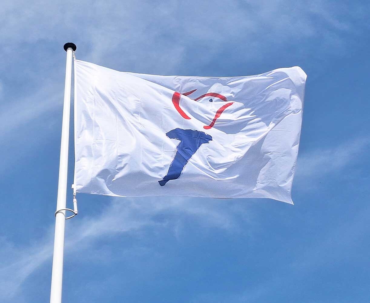 Vlag Vrijheid Vlag Vrijheid