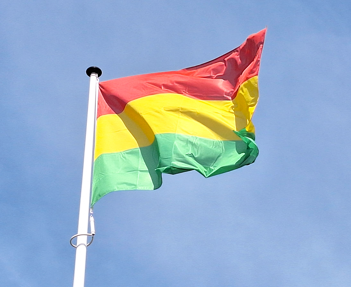 Carnavalsvlag