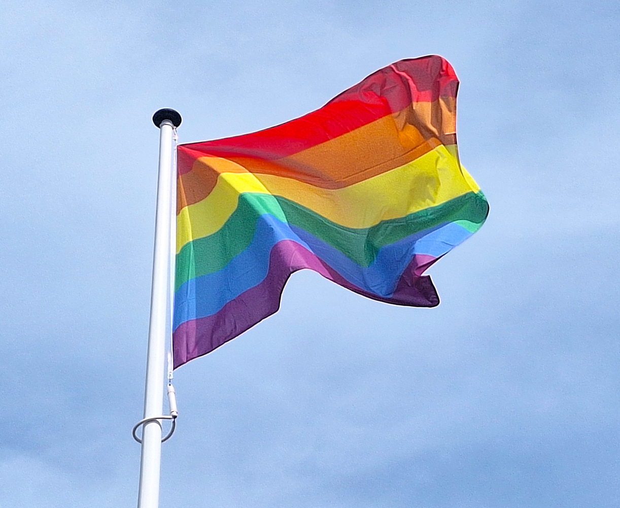 Regenboog vlag / LGBT vlag Regenboog vlag / LGBT vlag