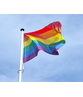 Regenboog vlag / LGBT vlag Regenboog vlag / LGBT vlag