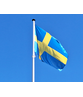 Zweedse Vlag