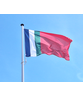 Molukken-Zuid Vlag