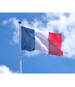 Franse Vlag