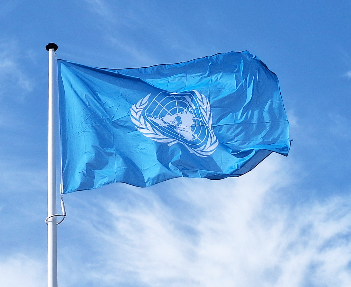 Verenigde Naties Vlag